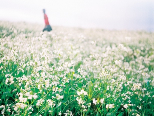 Chùm tản văn của Đàm Quỳnh Ngọc