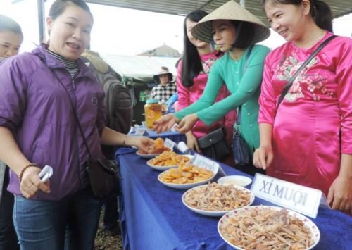 Ngày hội quất cảnh