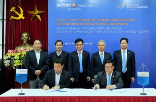 Bảo Việt hợp tác triển khai bảo hiểm nông nghiệp