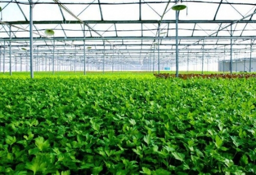 Hãy là người tiêu dùng thông minh