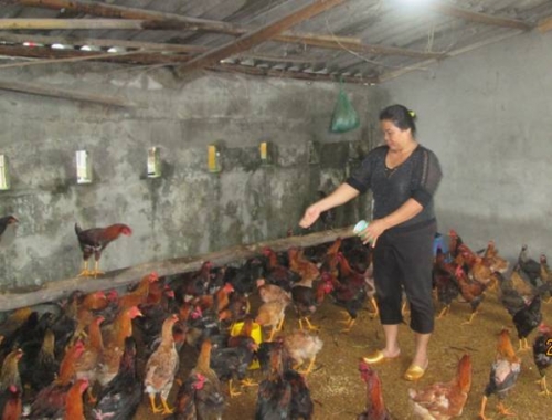 Thêm đồng vốn, thêm nghề Thêm đồng vốn, thêm nghề