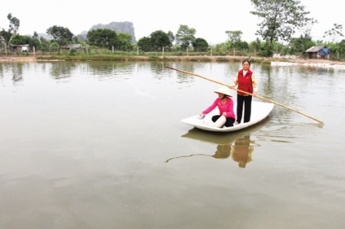 Sức sống mới trên đất Cố đô Sức sống mới trên đất Cố đô