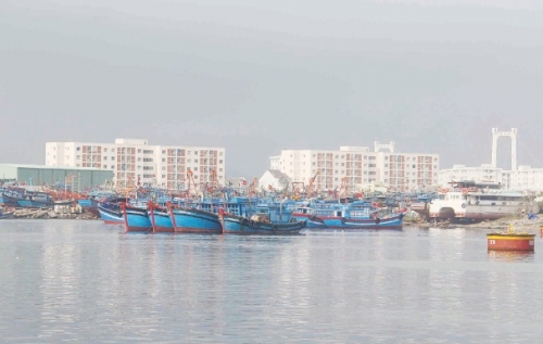 Hợp tác xây dựng chuỗi giá trị thủy sản