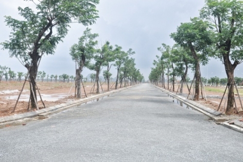 Môi giới BĐS hướng đến sự chuyên nghiệp