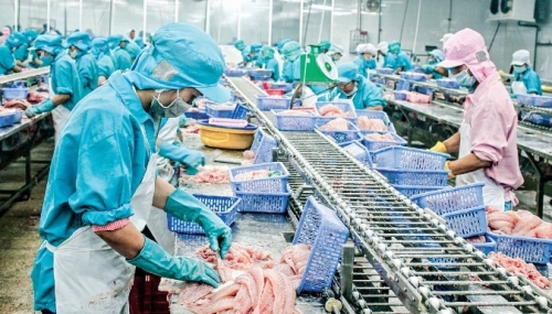 Tín hiệu sáng từ xuất khẩu và thu hút đầu tư