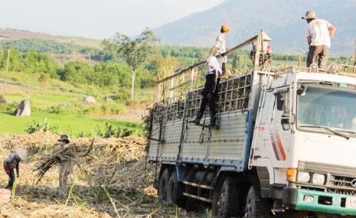 Nỗ lực giảm thiểu xe “quái vật”