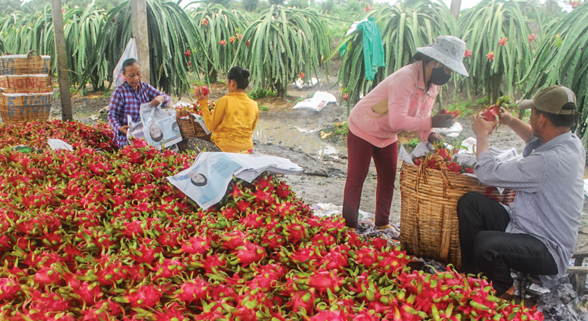 Ngân hàng sẵn sàng hỗ trợ nếu có rủi ro dịch bệnh
