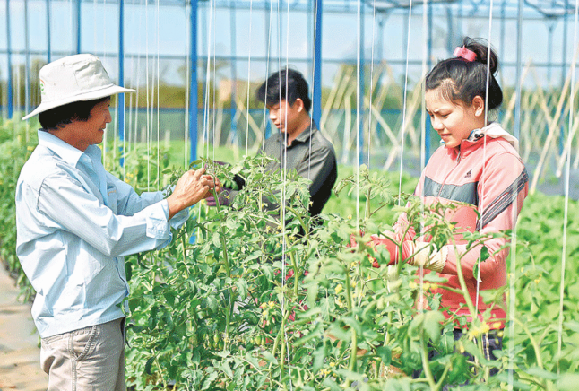 Trợ lực của những nông dân tỷ phú thời nay