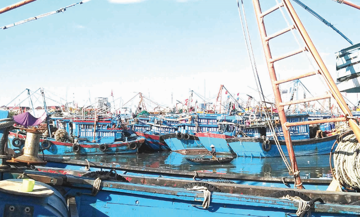 Ngăn khai thác hải sản bất hợp pháp từ... trên bờ