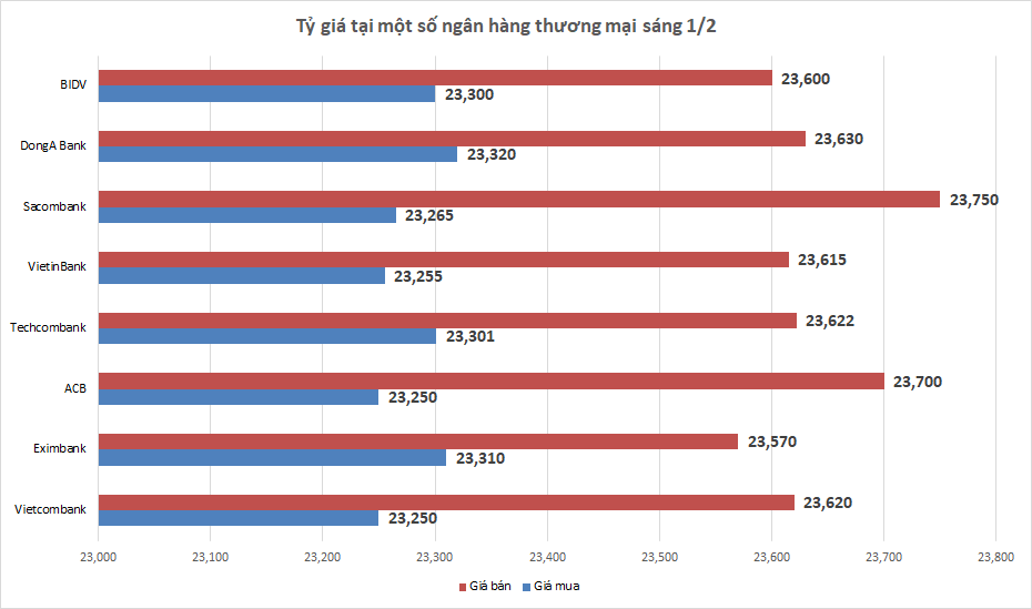 ty gia sang 12 ty gia trung tam tang nhe tro lai