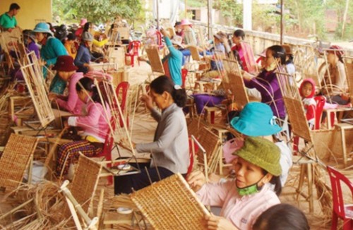 Hướng nghiệp cho người lao động