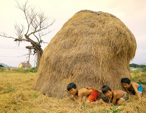 Rơm rạ tuổi thơ