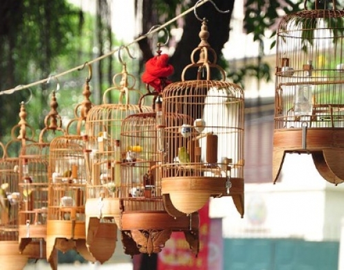 Lồng nuôi chim Yến hót và chim cảnh ,vẹt nhỏ màu vàng gold | Shopee Việt Nam