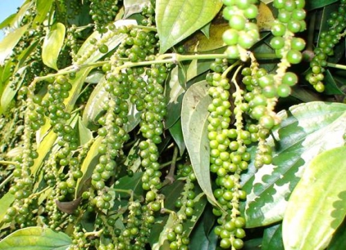 Khi thờ ơ với cảnh báo