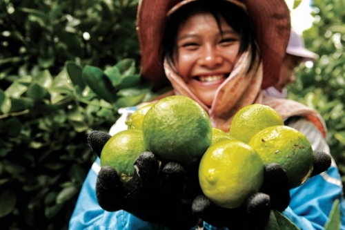 Đắk Nông: Hướng tới nông nghiệp công nghệ cao