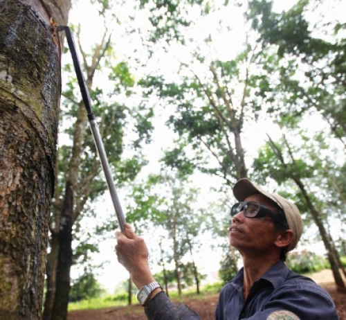 Đắk Nông: Hướng tới nông nghiệp công nghệ cao