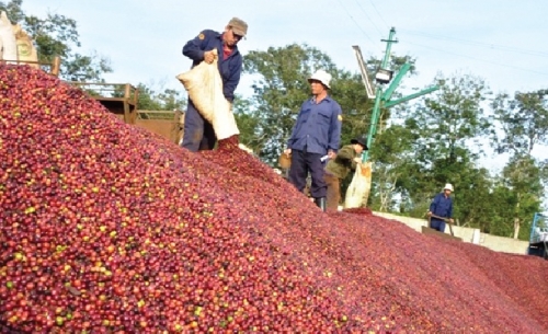 Đánh thức tiềm năng của Tây Nguyên