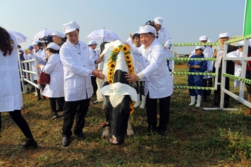 TH nhận Cúp vàng trang trại bò sữa organic