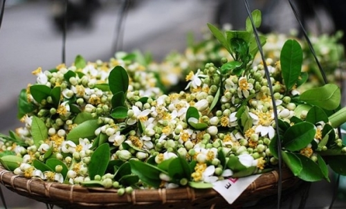 Phong vị tháng Ba… Phong vị tháng Ba…