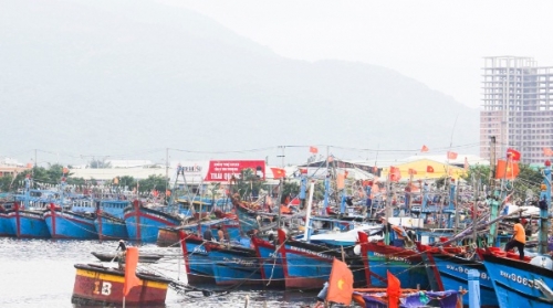 Khi chợ thủy sản thành điểm du lịch