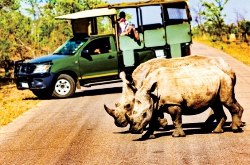 Đầu tư du lịch vào Nam Phi: Lợi thế lớn hơn rào cản địa lý