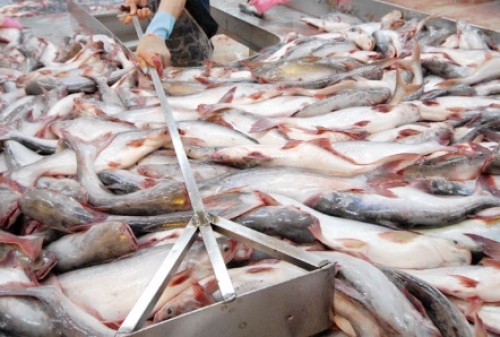 Kiểm soát thủy sản xuất đường bộ sang Trung Quốc