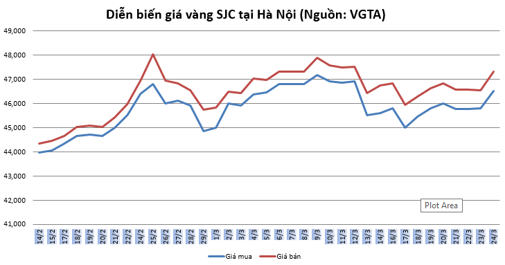 gia vang ngay 243 fed kich gia vang bat tang manh
