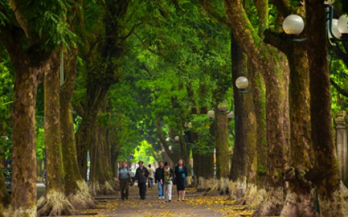 Bài học từ lá xanh Bài học từ lá xanh