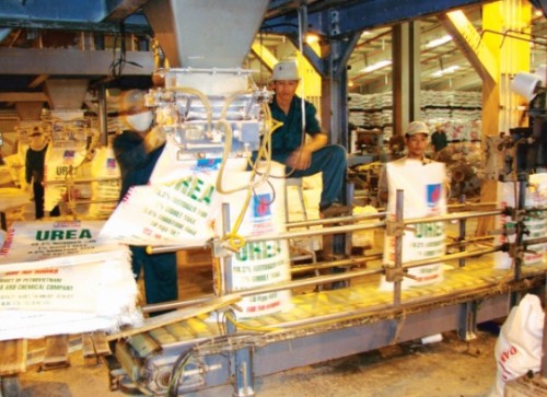 Doanh nghiệp phân bón đứng trước rủi ro