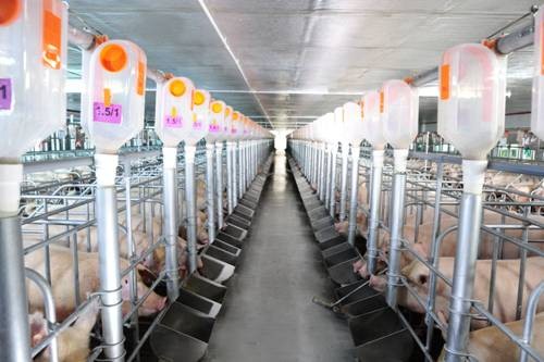 Cần cải thiện đầu tư vào nông nghiệp Cần cải thiện đầu tư vào nông nghiệp