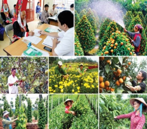 Mốc son tươi thắm của tín dụng chính sách