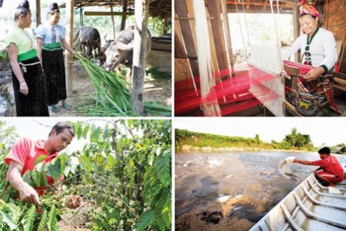 Khi chính sách đi vào cuộc sống