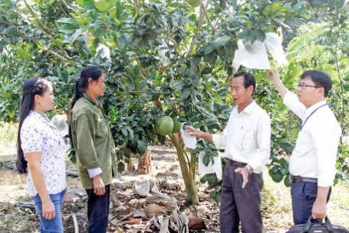 Những mô hình điểm từ đồng vốn chính sách ở Khánh Vĩnh