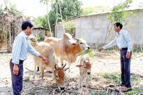 Những mô hình điểm từ đồng vốn chính sách ở Khánh Vĩnh