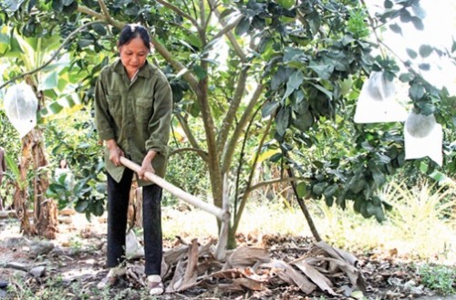 Những mô hình điểm từ đồng vốn chính sách ở Khánh Vĩnh