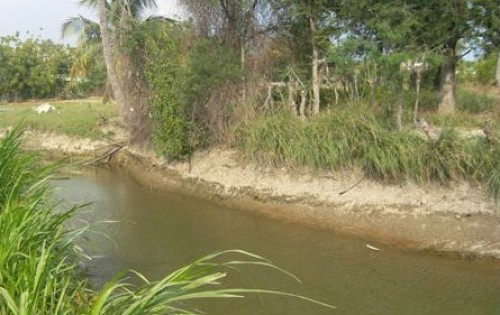 Người giải hạn cho cánh đồng khát