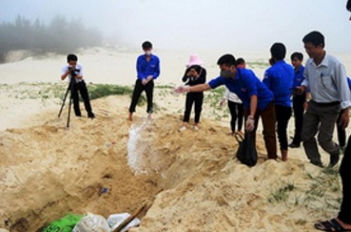 Nghiêm cấm sử dụng, kinh doanh, tiêu thụ thủy, hải sản chết bất thường