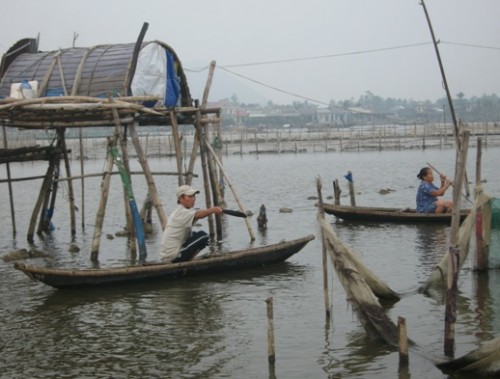 NHCSXH xem xét cho vay để chuyển đổi nghề ở khu vực hải sản chết bất thường NHCSXH xem xét cho vay để chuyển đổi nghề ở khu vực hải sản chết bất thường