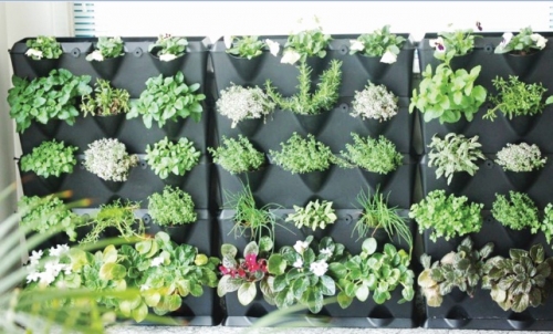 Không còn là phong trào