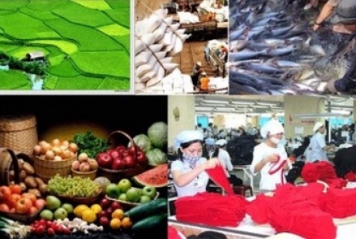 Muốn xuất khẩu ổn định, phải hợp chuẩn