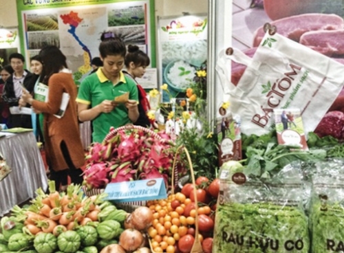 Để nông nghiệp hữu cơ cất cánh