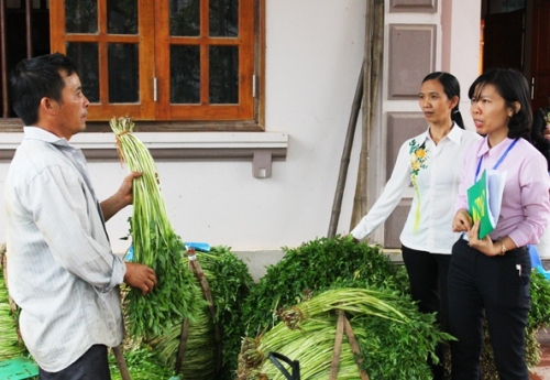 Hiệu quả vốn vay ưu đãi ở Hoàng Lương