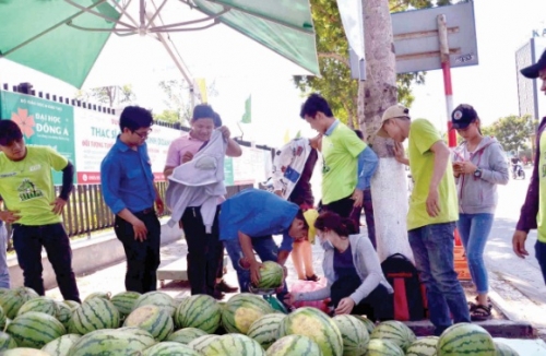 Bao giờ mới hết “giải cứu”? Bao giờ mới hết “giải cứu”?