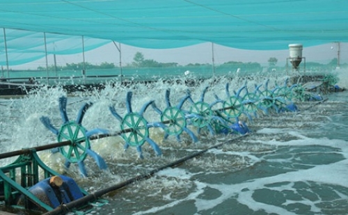 Doanh nghiệp đầu tư công nghệ để phát triển Doanh nghiệp đầu tư công nghệ để phát triển