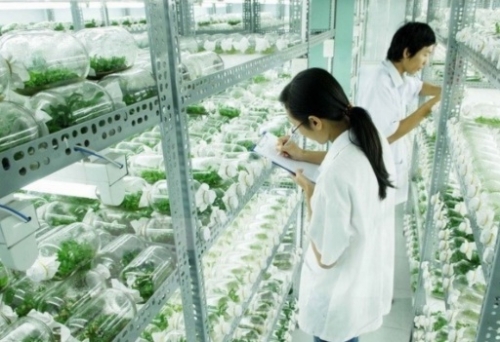 Đầu tư công nghệ để tối đa hóa lợi nhuận Đầu tư công nghệ để tối đa hóa lợi nhuận