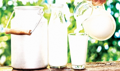 Thách thức với doanh nghiệp sữa Việt Thách thức với doanh nghiệp sữa Việt