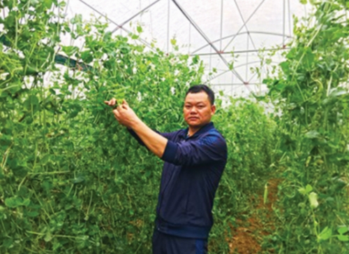 Chắp cánh cho những khát vọng làm giàu