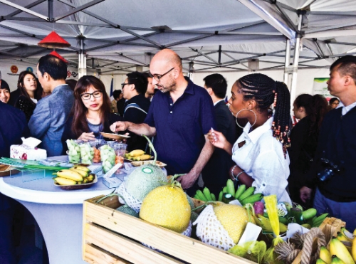 Hai điểm trọng yếu ‘công phá’ thị trường châu Âu Hai điểm trọng yếu ‘công phá’ thị trường châu Âu