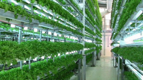 TP.HCM: Ngân hàng kết nối doanh nghiệp nông nghiệp sạch