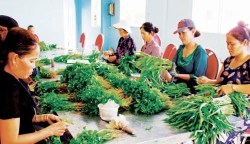 Hoàn thiện pháp lý cho kinh tế tập thể Hoàn thiện pháp lý cho kinh tế tập thể